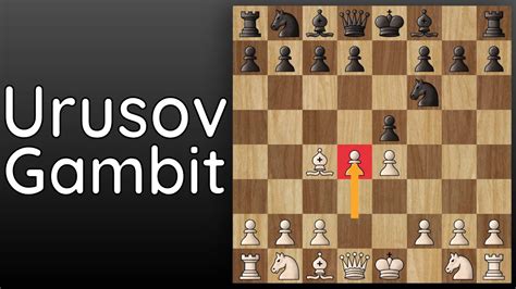 ursuv|The Unbeatable Urusov Gambit .